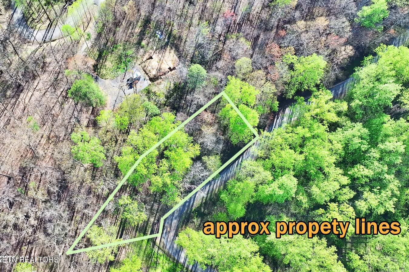 Emerald Springs Loop Property Photo 11
