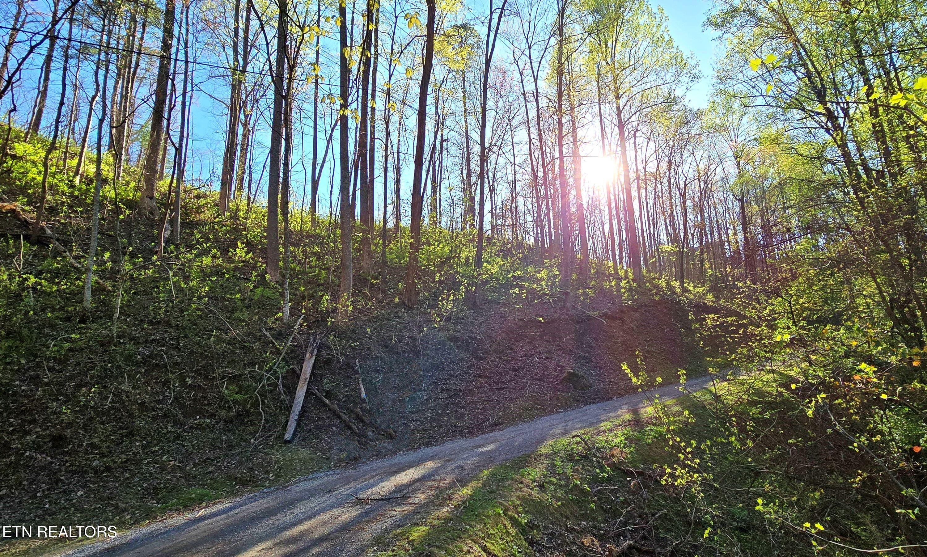 Emerald Springs Loop Property Photo 13
