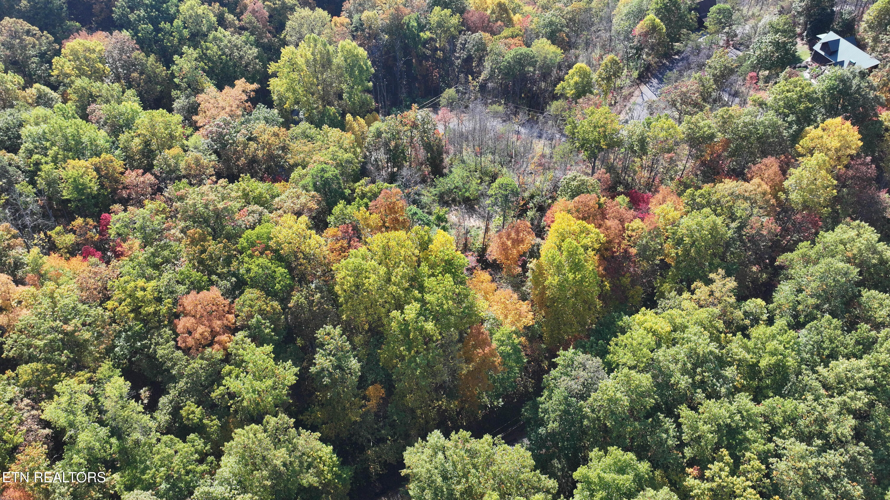 Emerald Springs Loop Property Photo 17