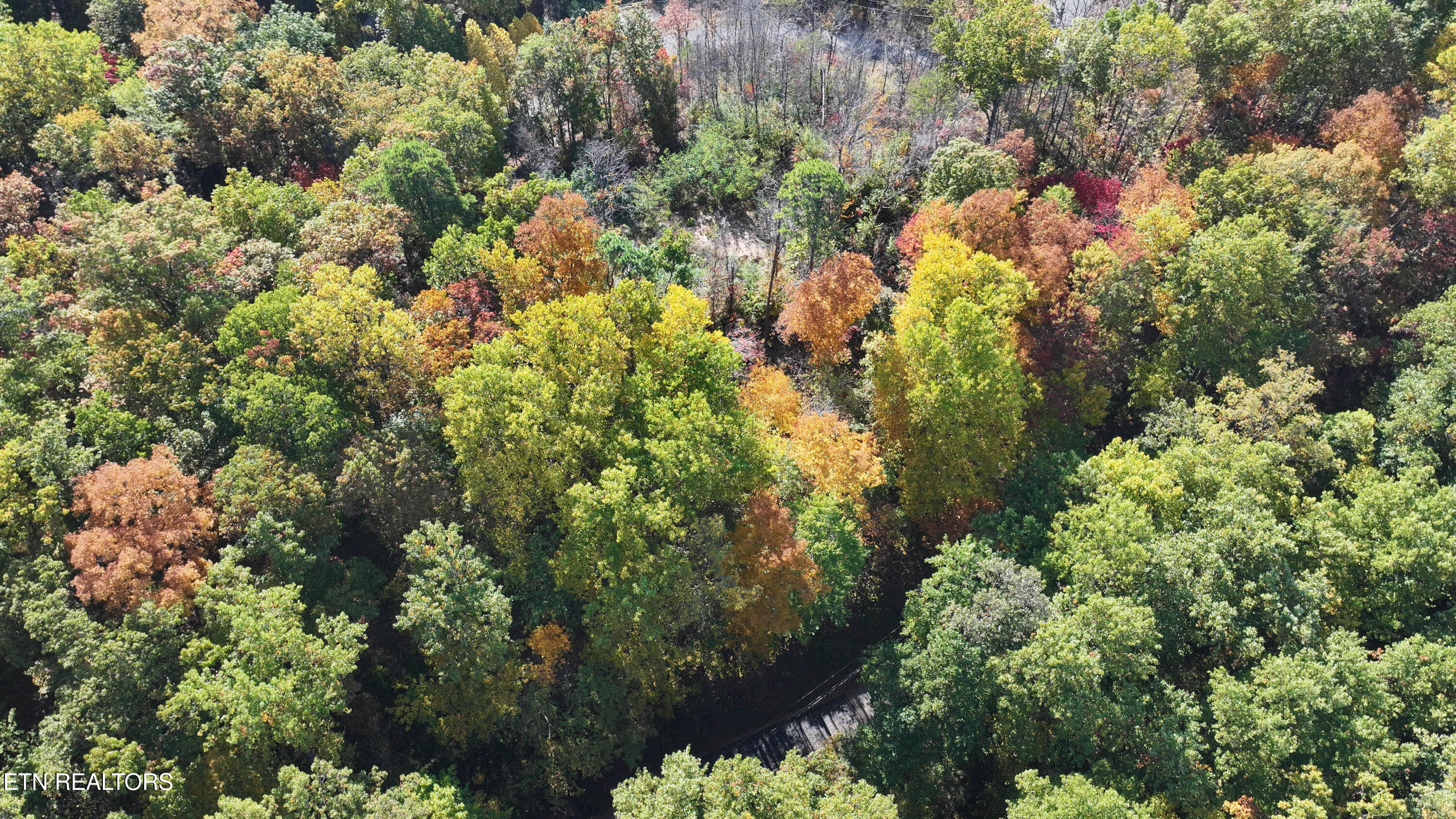 Emerald Springs Loop Property Photo 18