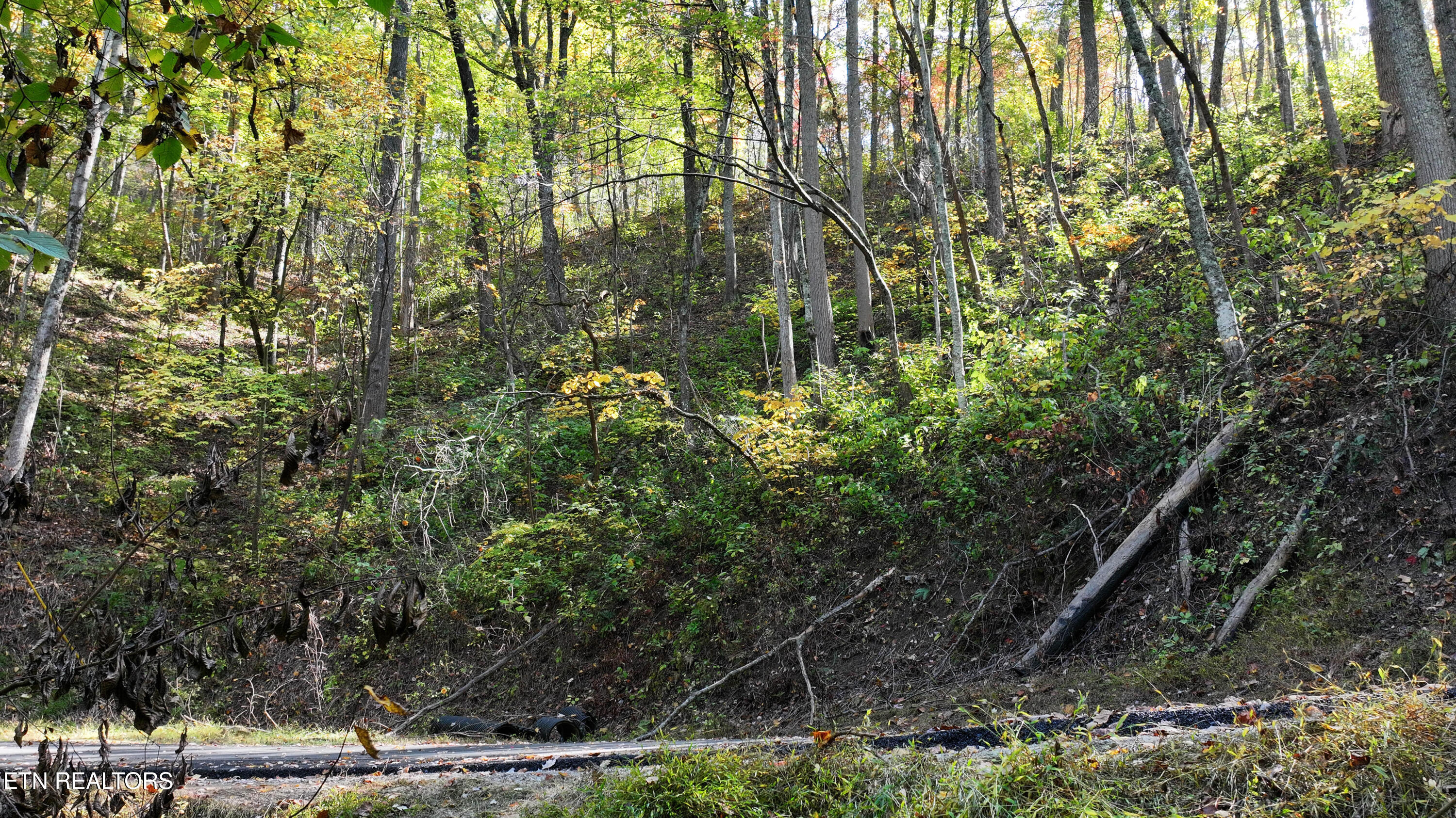 Emerald Springs Loop Property Photo 20