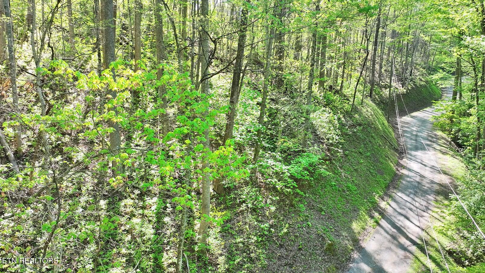 Emerald Springs Loop Property Photo 23