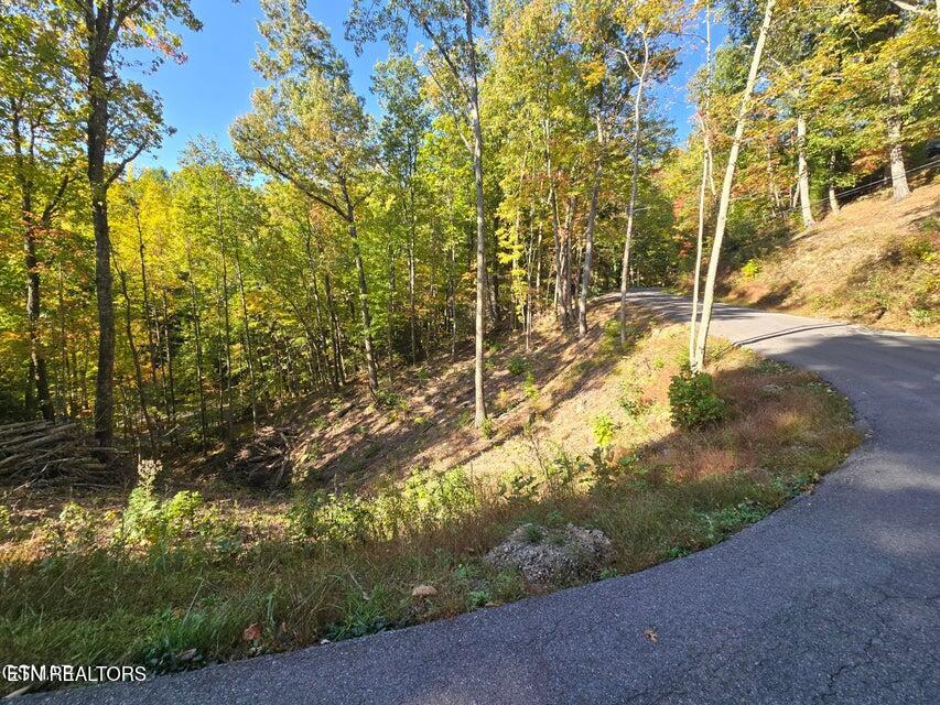 Lot 6 Scenic Trail Property Photo