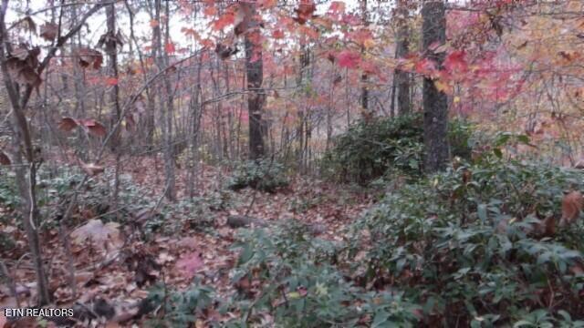 Lot 349 Drew Court Property Photo 1