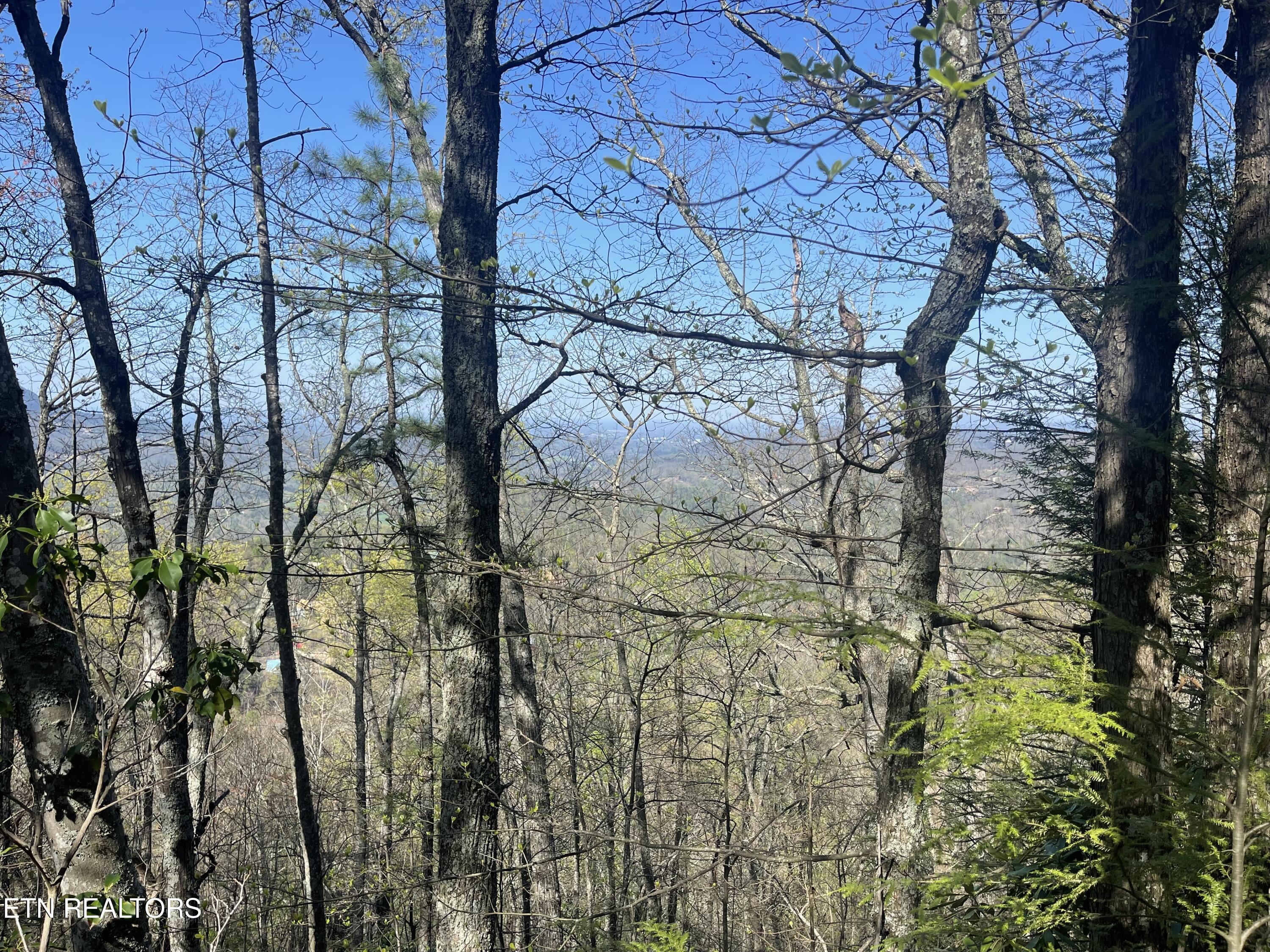 Lot 5 Overholt Tr Property Photo