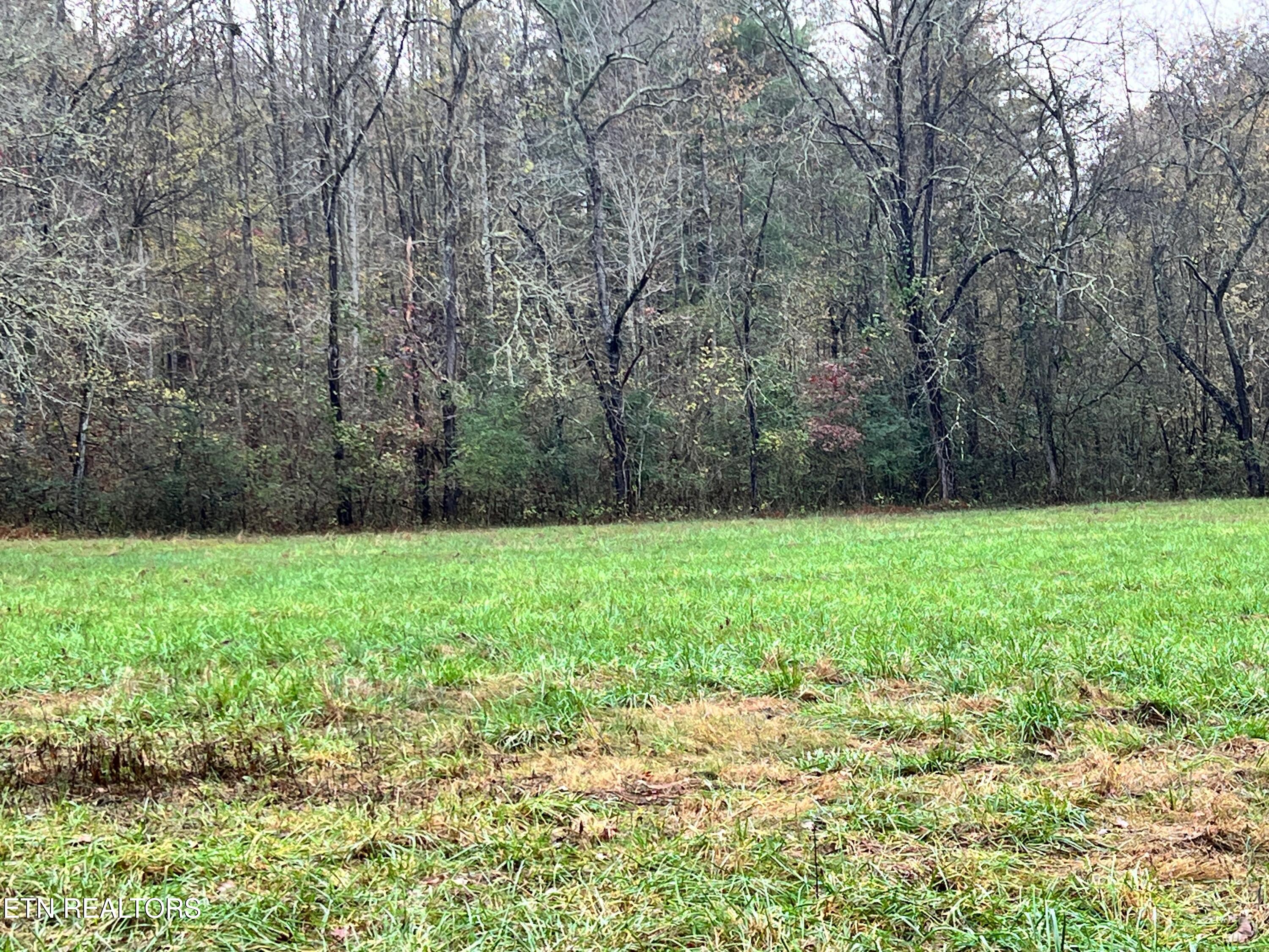 Lot 1 Raby Hollow Rd Property Photo 1