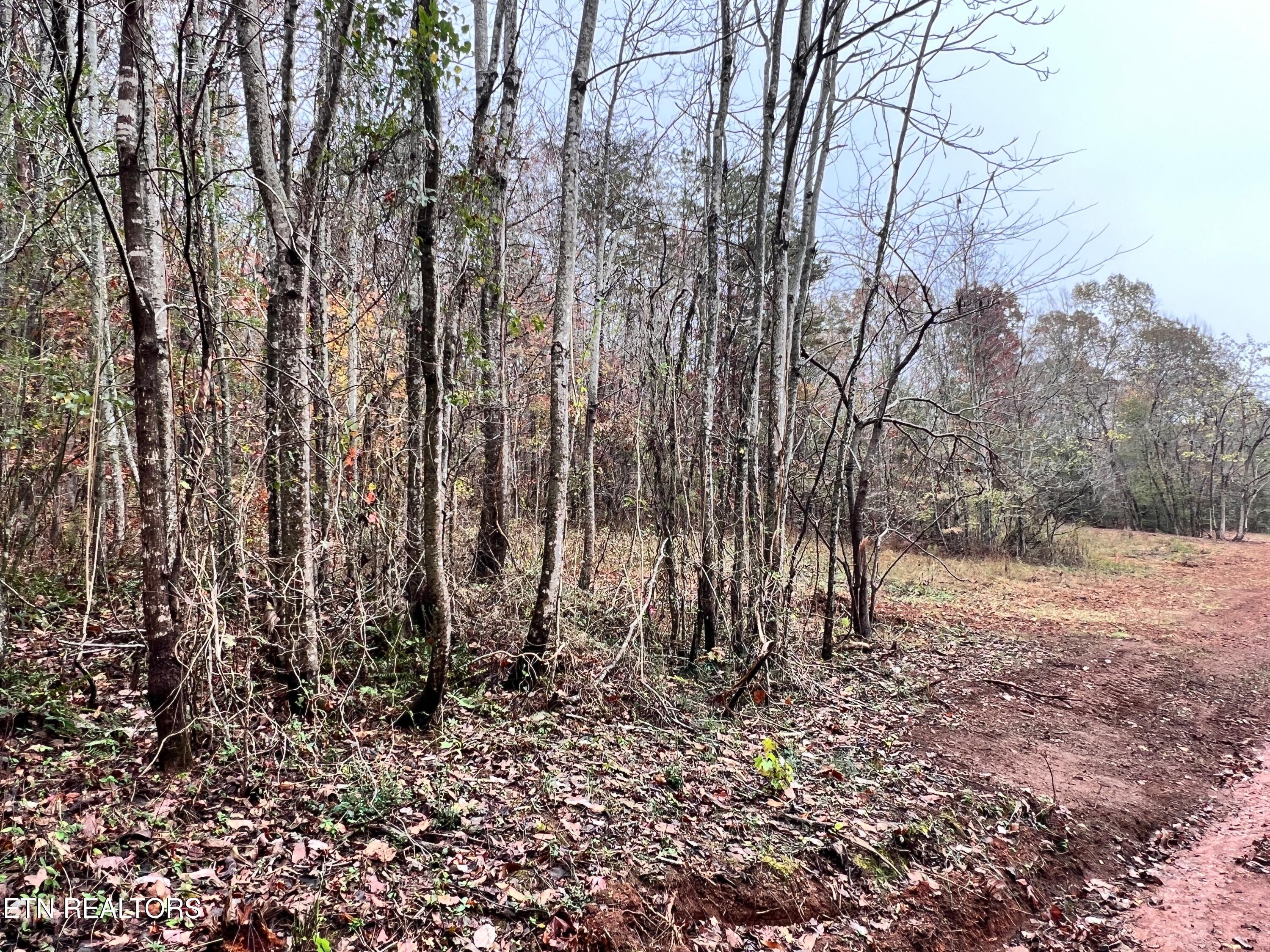 Lot 2 Raby Hollow Rd Property Photo 1