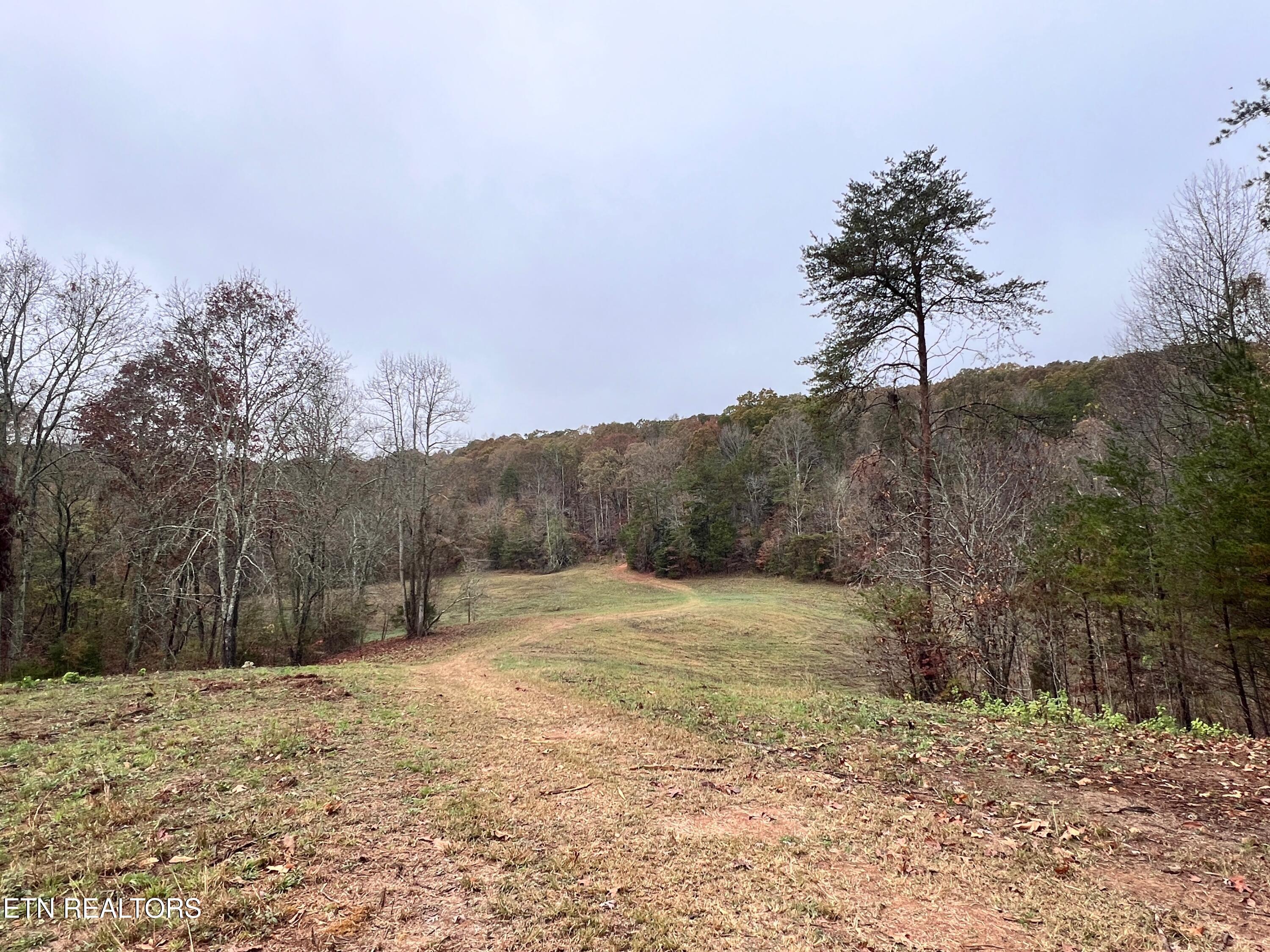 Lot 3 Raby Hollow Rd Property Photo 1