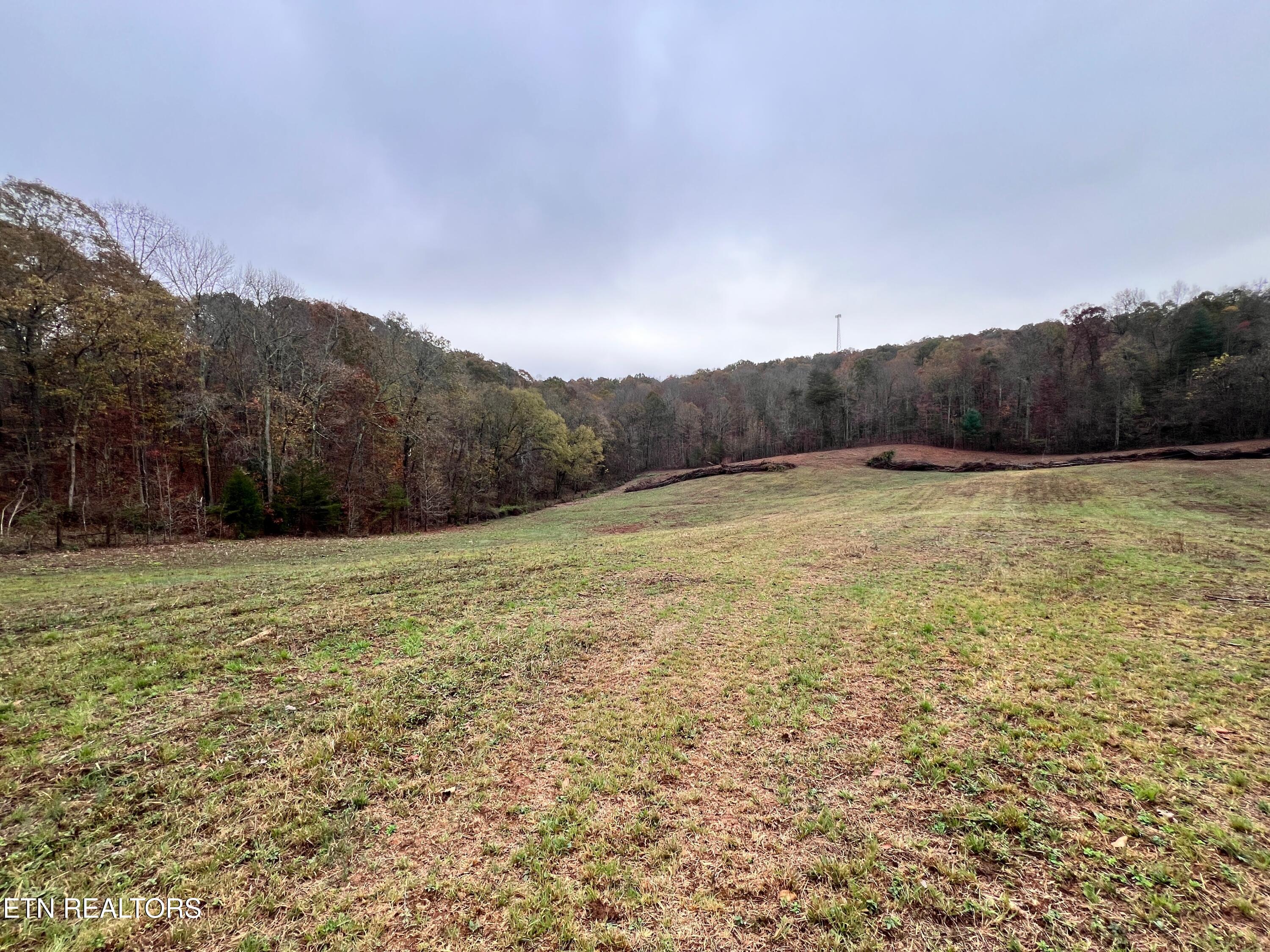 Lot 4 Raby Hollow Rd Property Photo 1