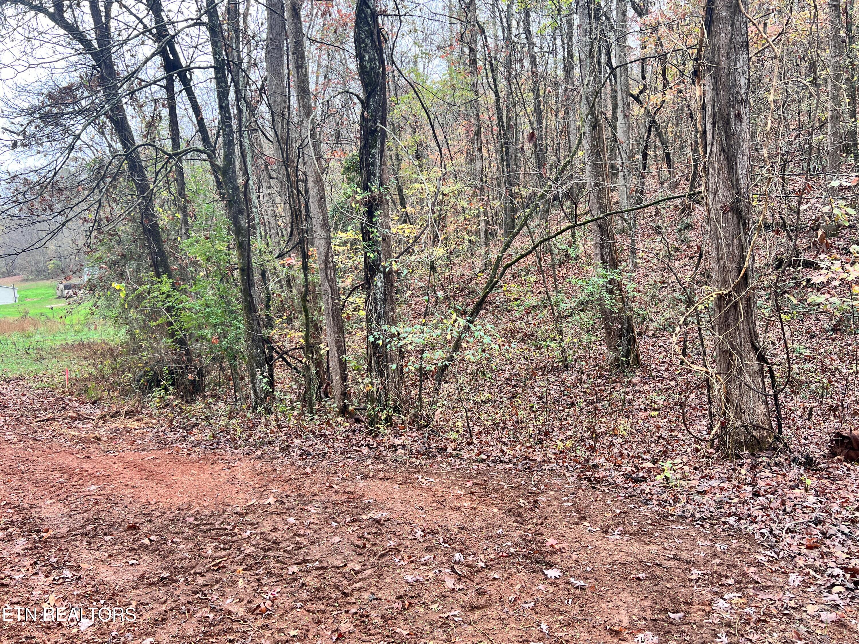 Lot 6 Raby Hollow Rd Property Photo 1