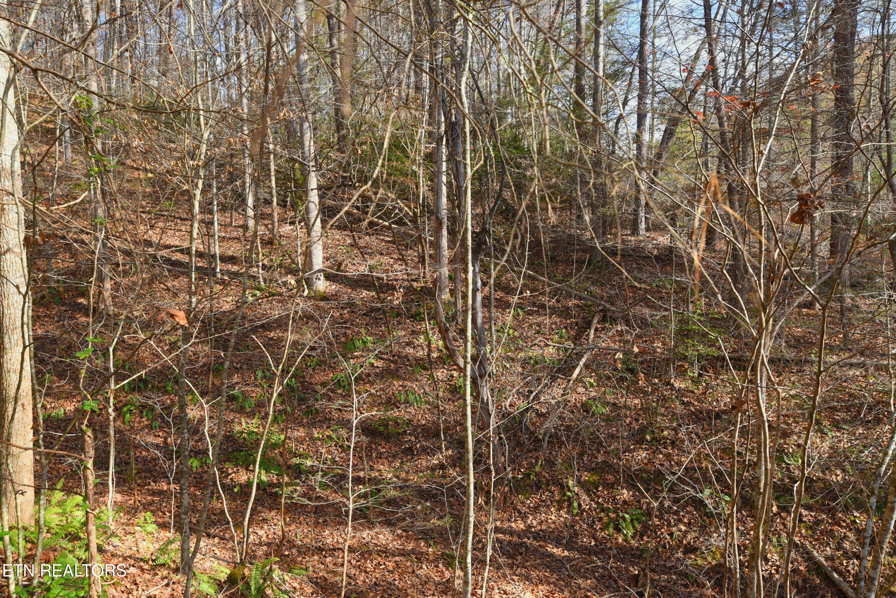 Legend Lot 3 Drive Property Photo