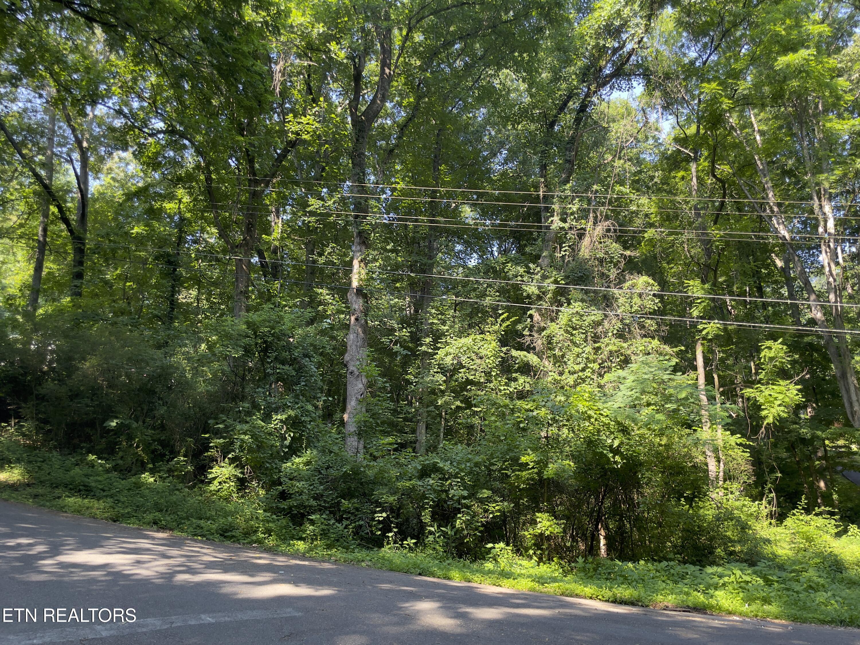 Holland Tr Property Photo 4
