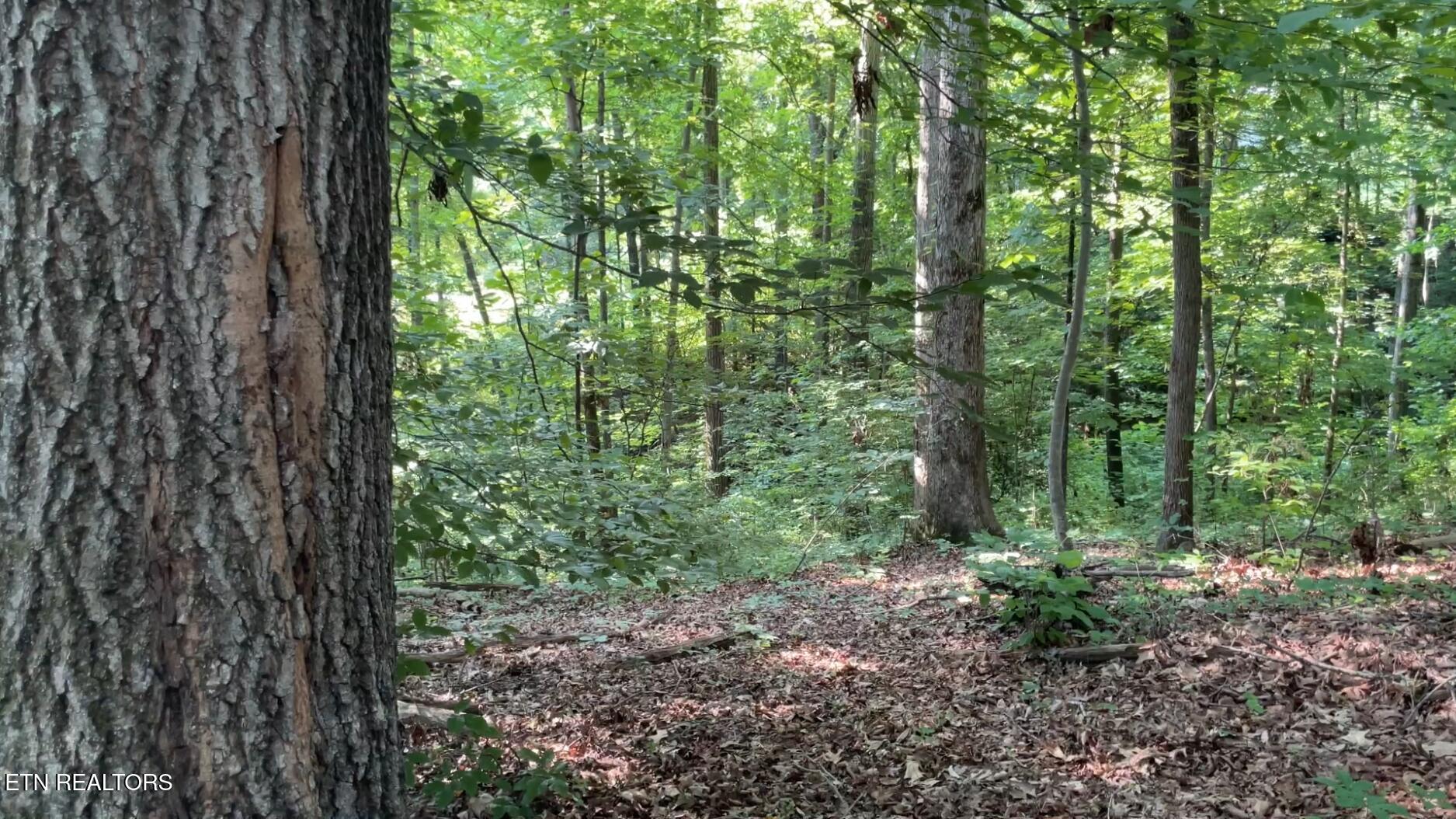 Holland Tr Property Photo 5