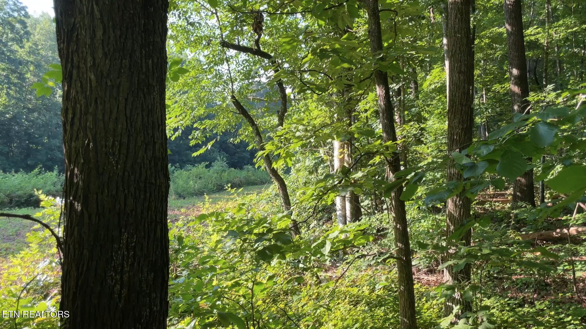 Holland Tr Property Photo 10