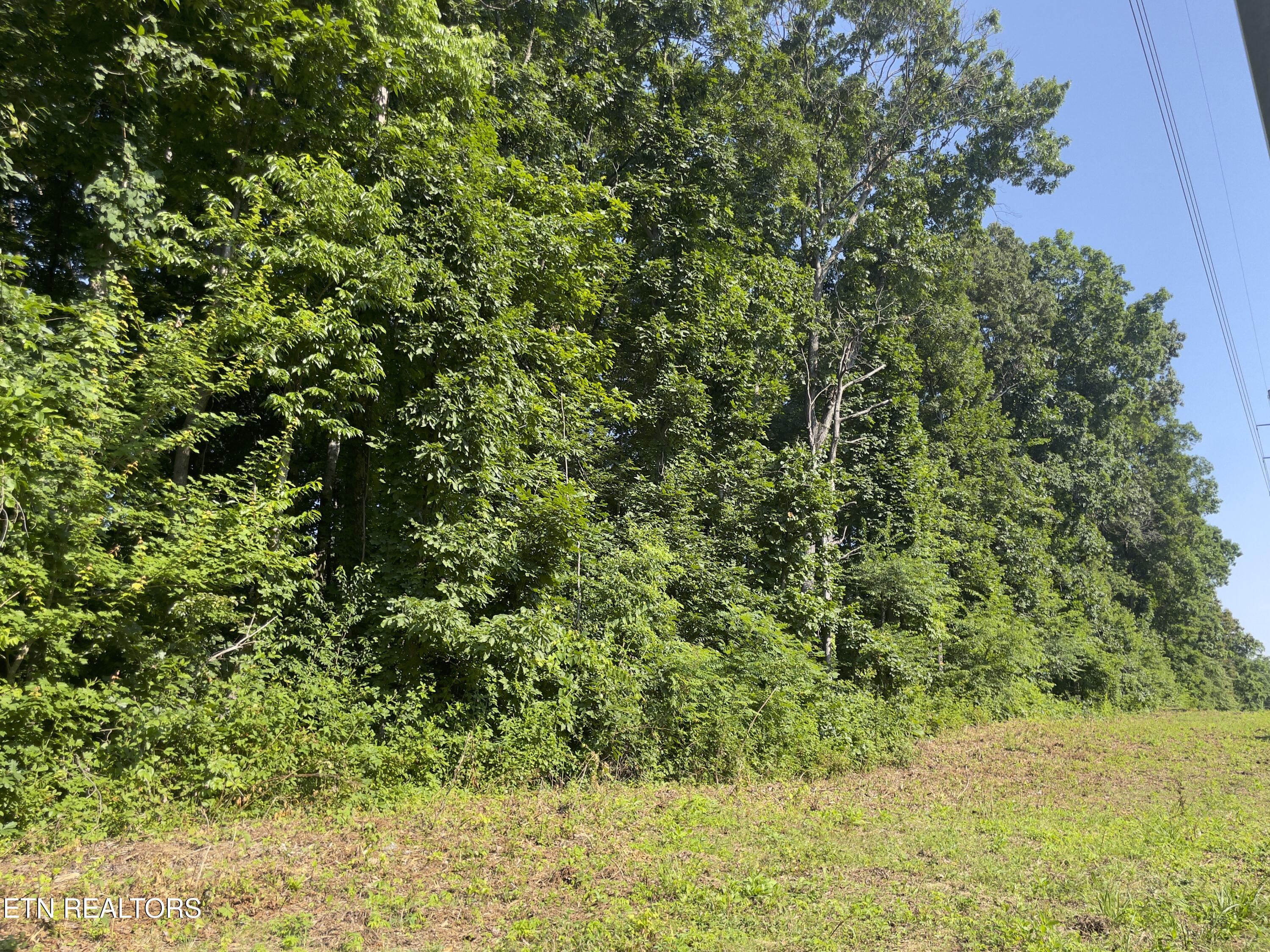 Holland Tr Property Photo 11
