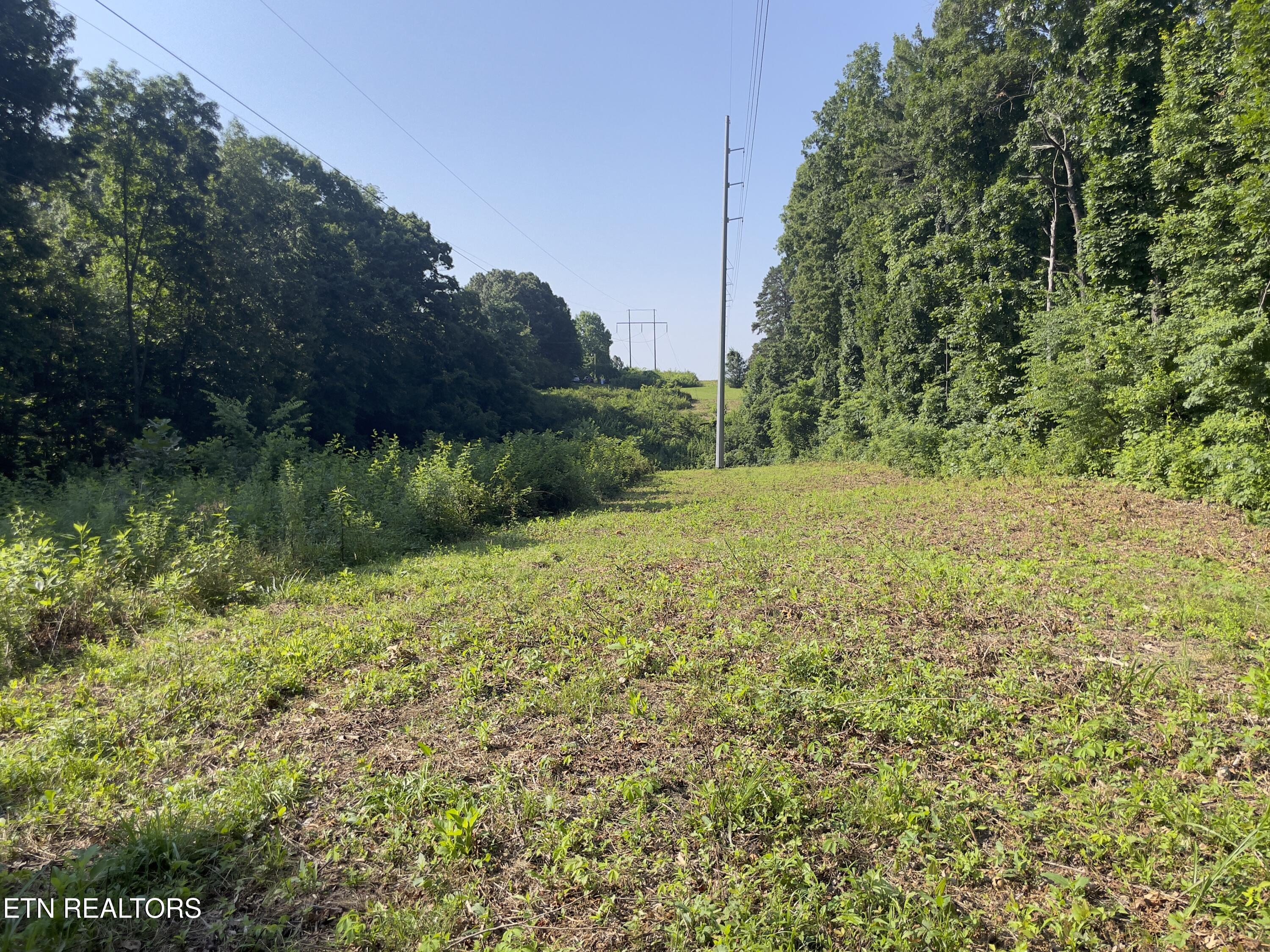 Holland Tr Property Photo 12