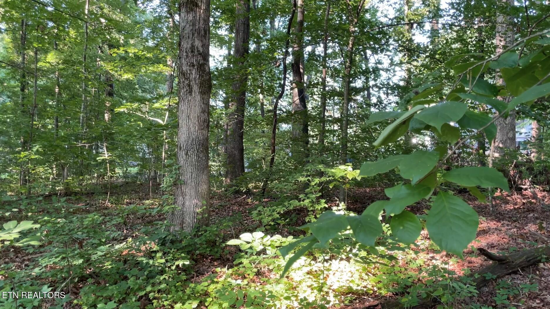 Holland Tr Property Photo 14