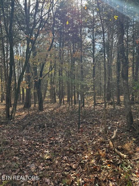 Lot 1031 Meadow Court Property Photo