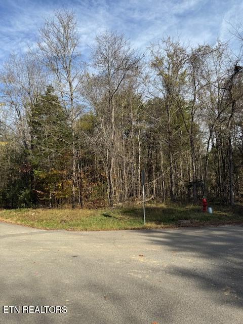 Lot 1023 Cove Lane Property Photo