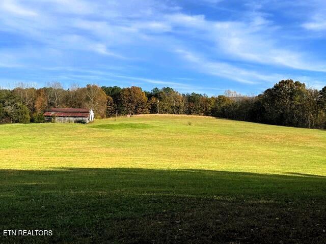 55 Acres County Road 784 / 792r Property Photo