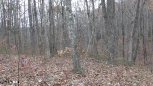 Lot 23 Cumberland Cove Rd Property Photo
