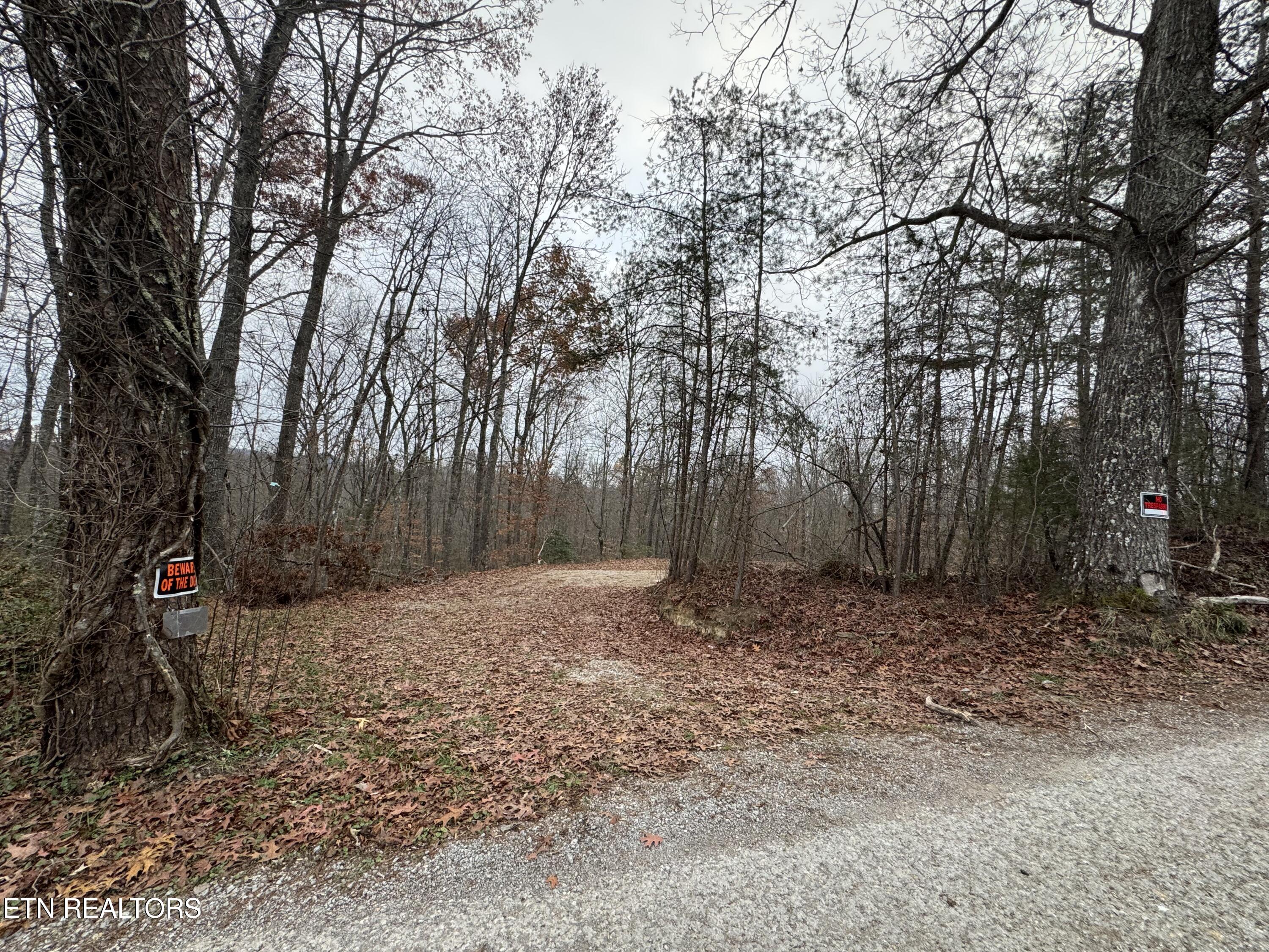Knotty Pine Lane Property Photo