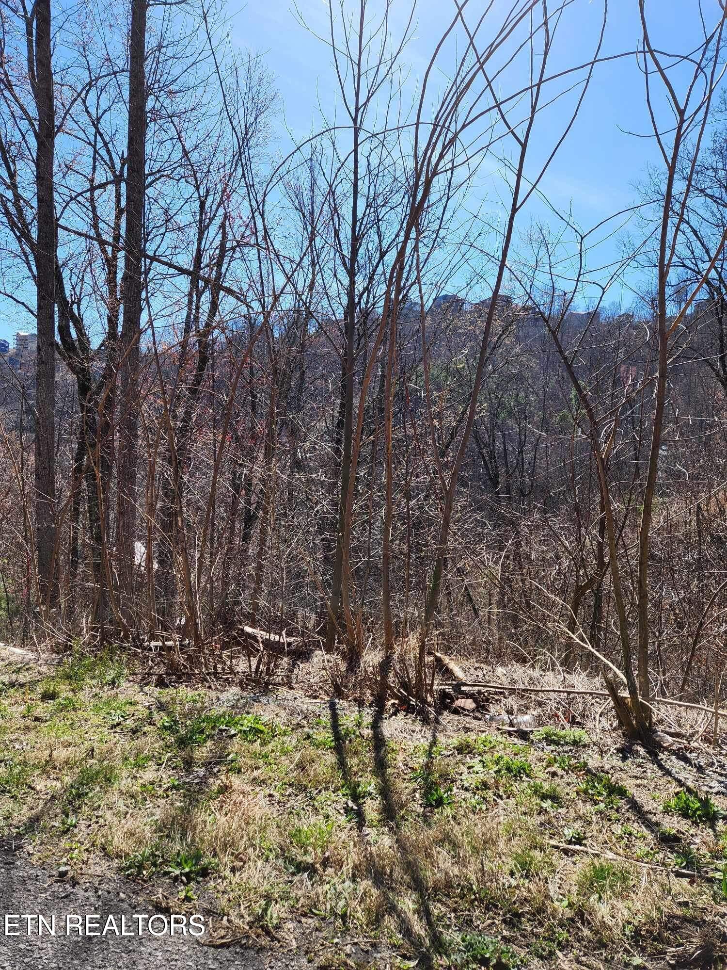 Pinecrest Drive Property Photo 2