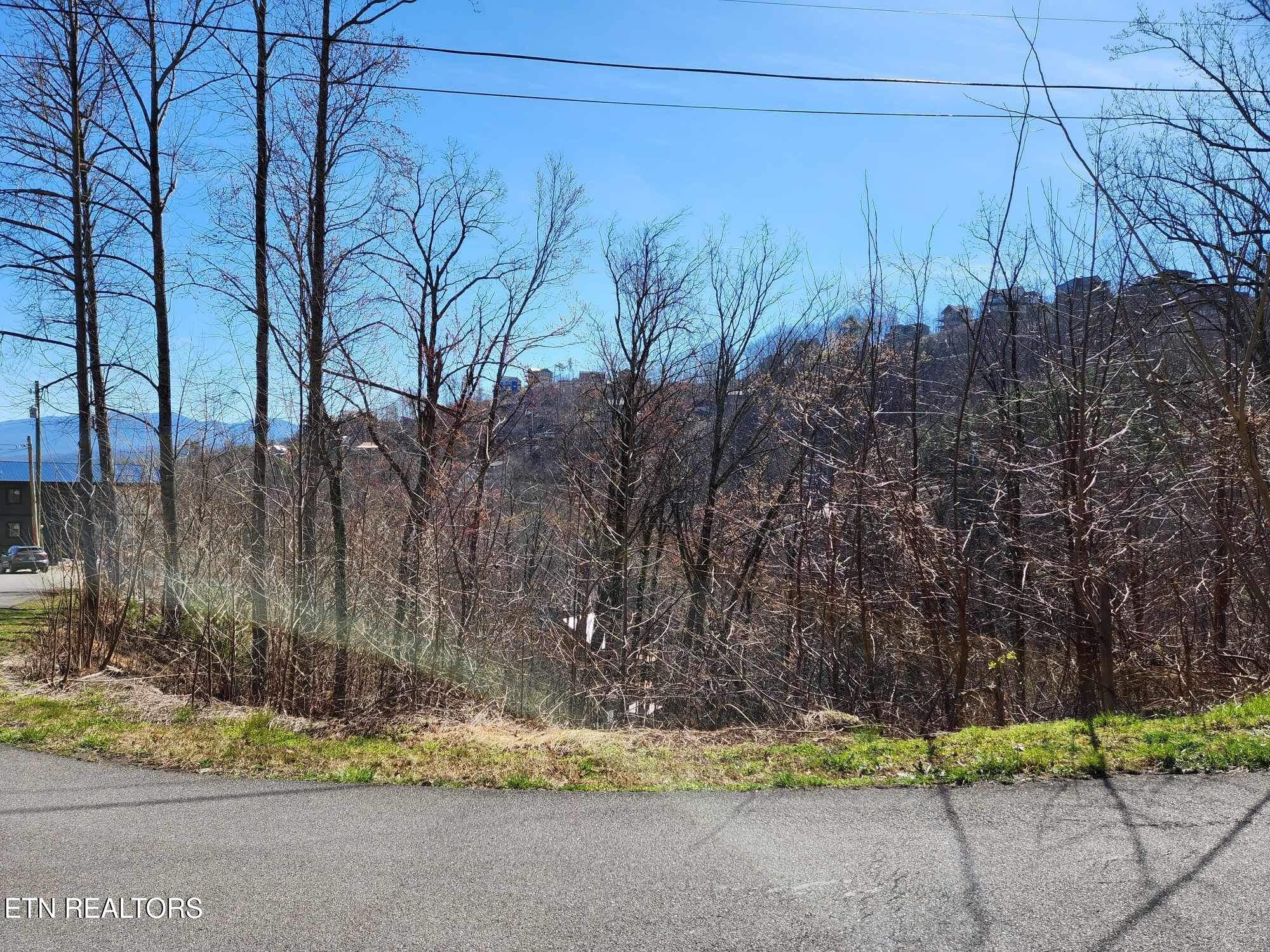 Pinecrest Drive Property Photo 3