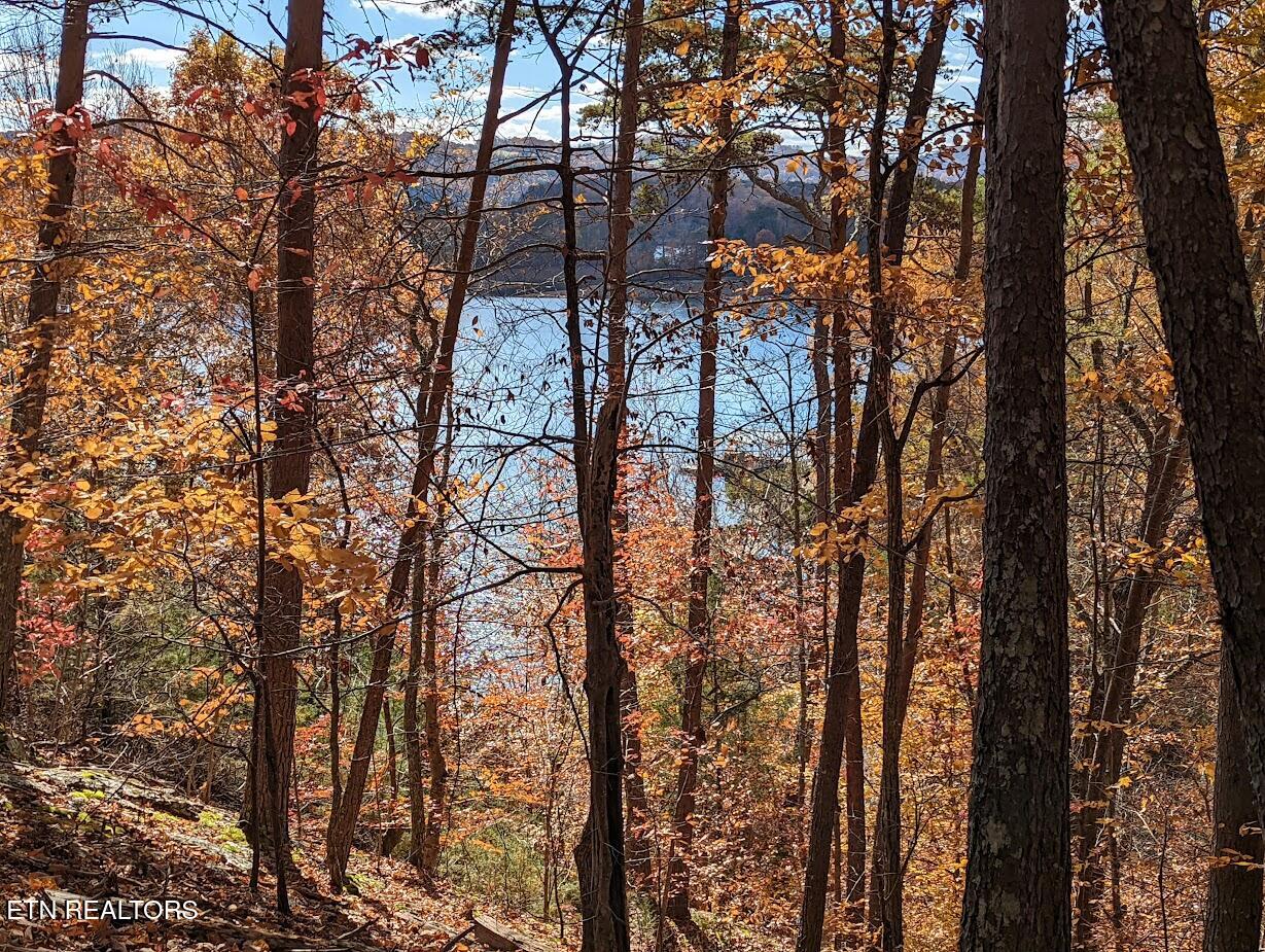 Lot 155 Emerald Point Property Photo