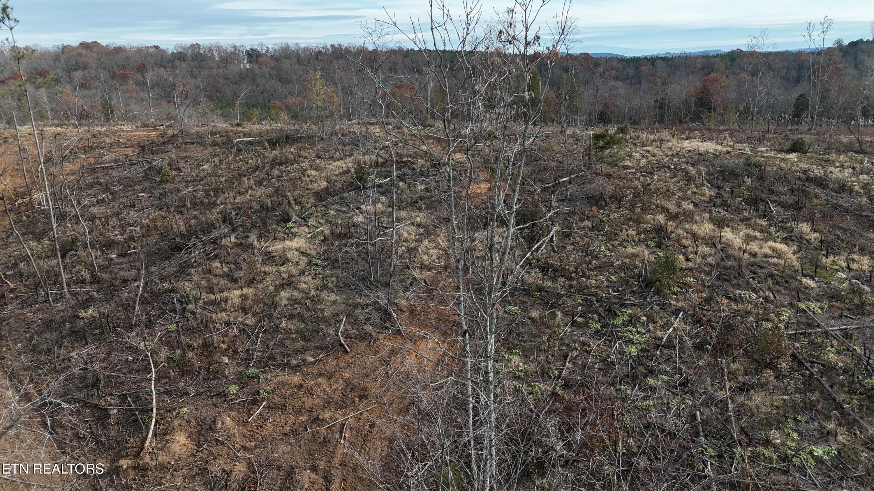 Lot 1 Lamontville Rd Property Photo