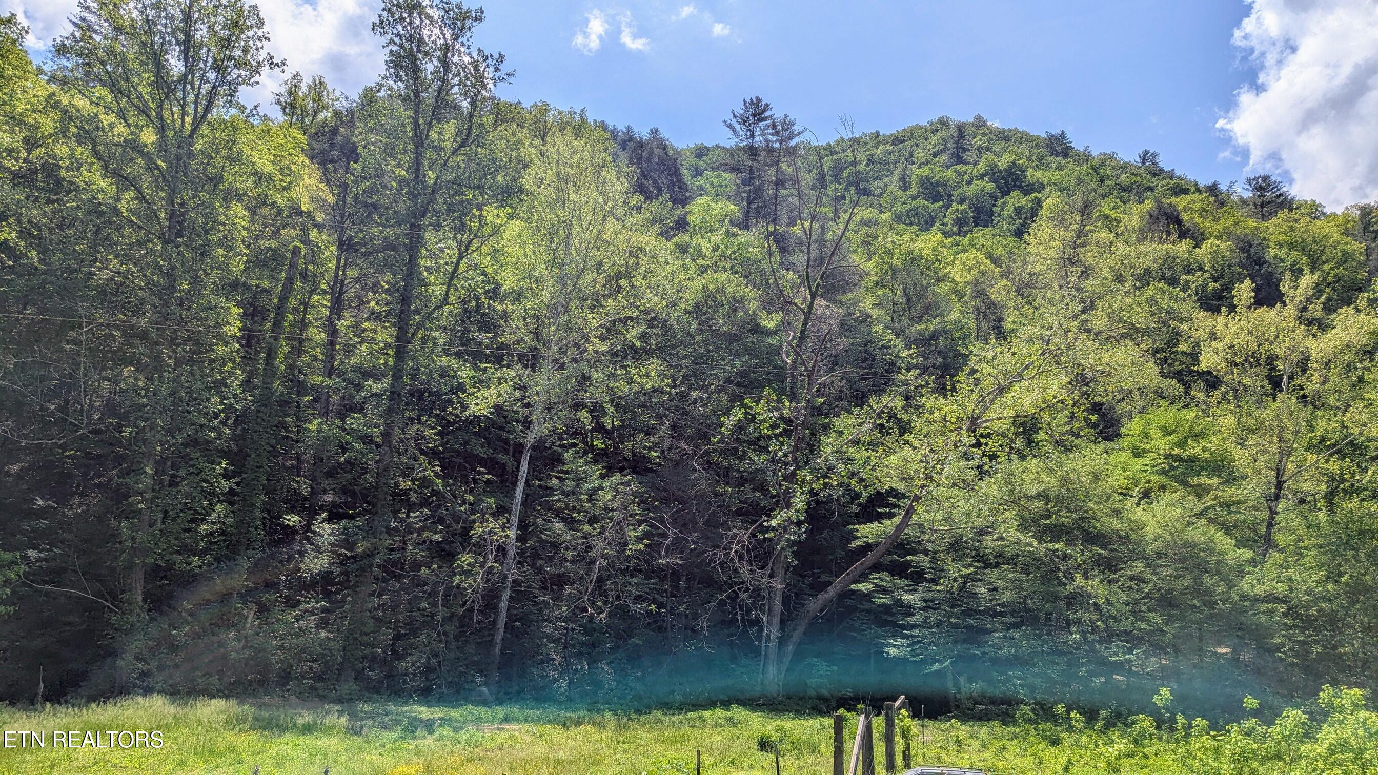 Carrs Creek Rd Property Photo 3