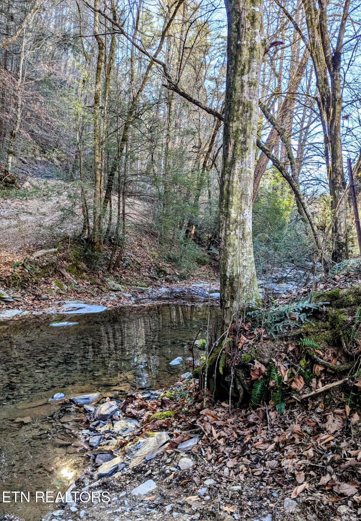 Carrs Creek Rd Property Photo 5