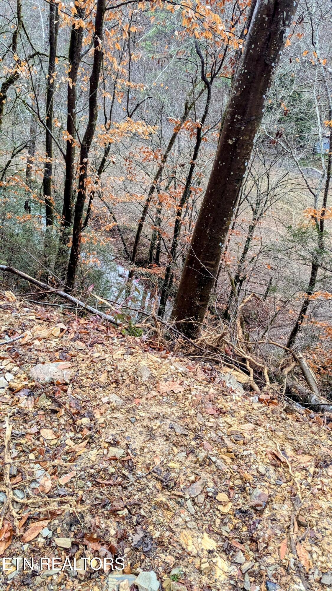 Carrs Creek Rd Property Photo 7