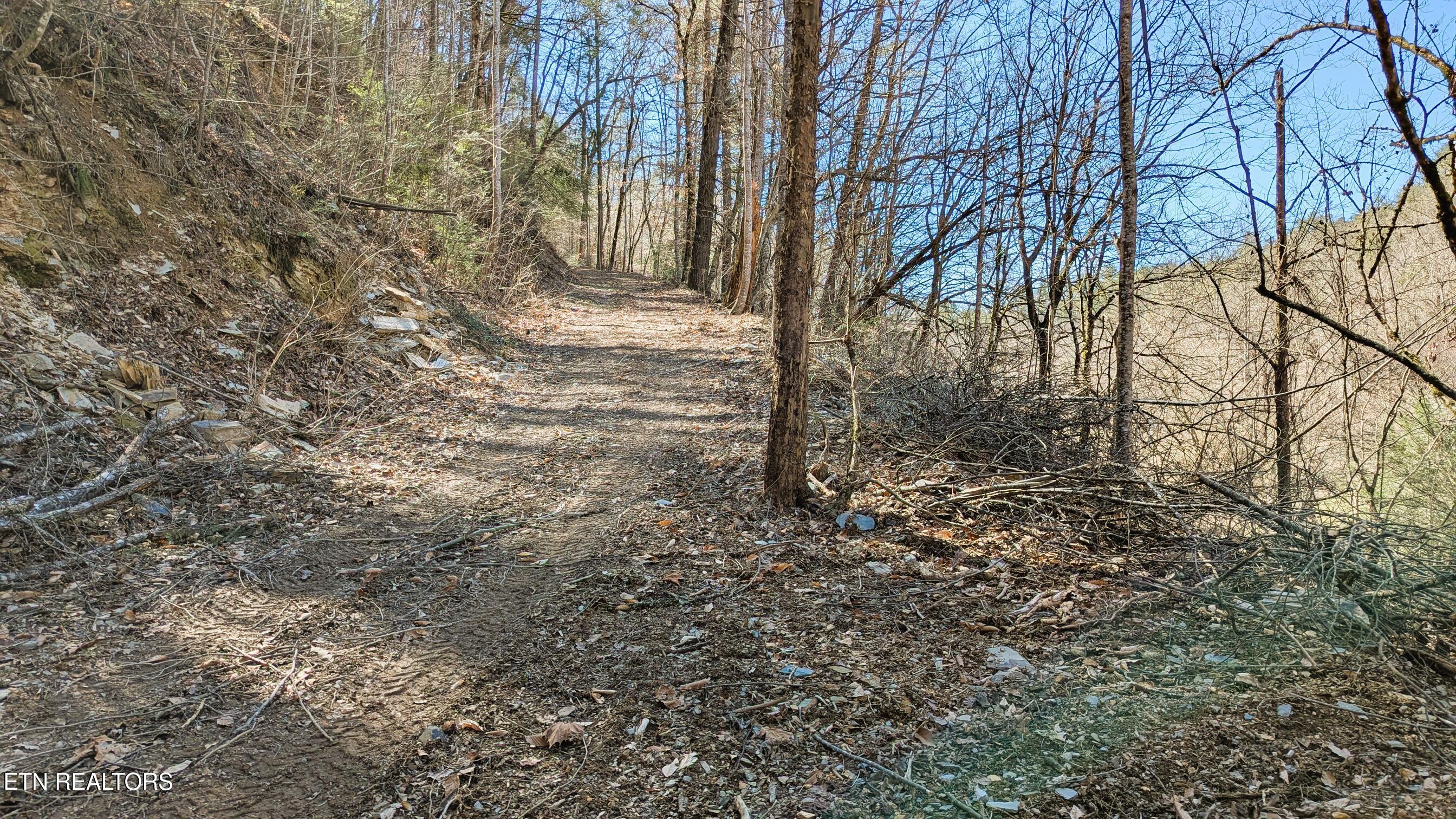 Carrs Creek Rd Property Photo 8