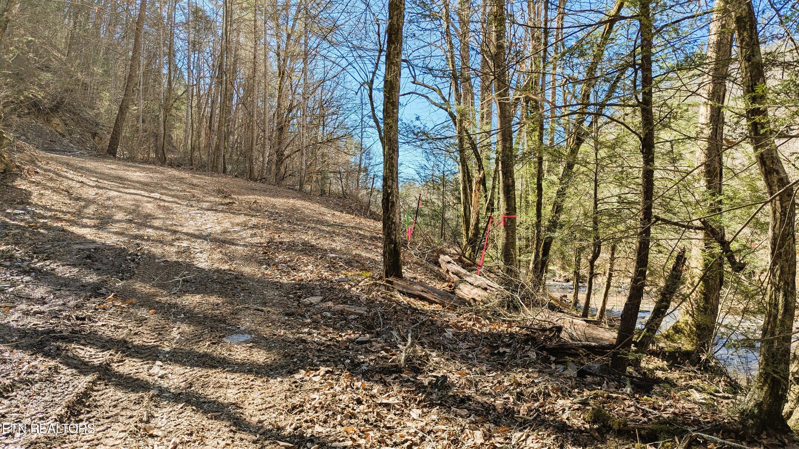 Carrs Creek Rd Property Photo 9