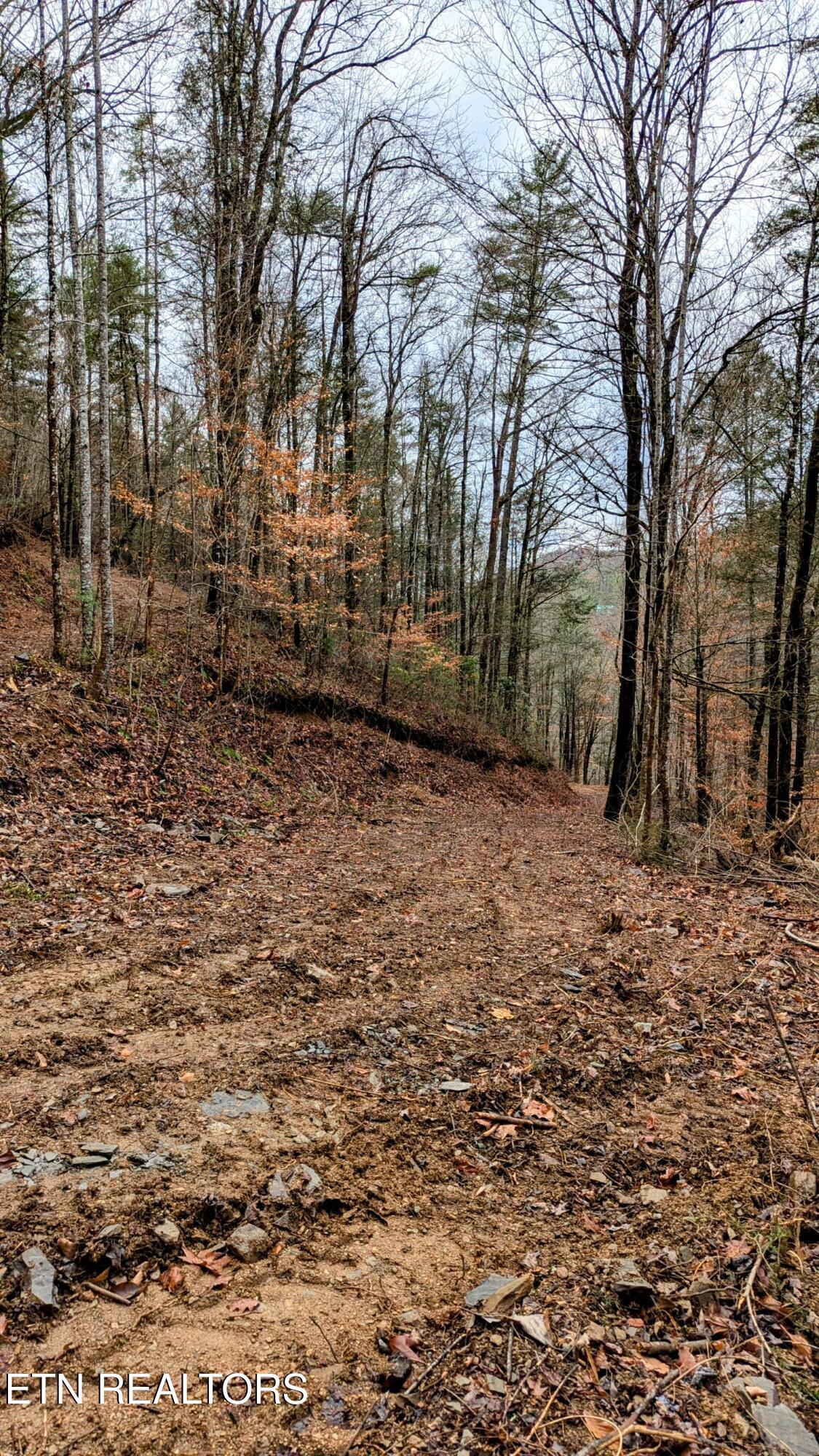Carrs Creek Rd Property Photo 10