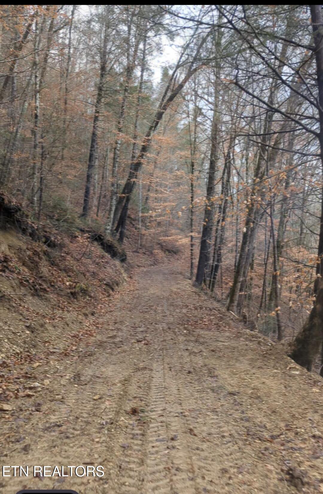 Carrs Creek Rd Property Photo 11