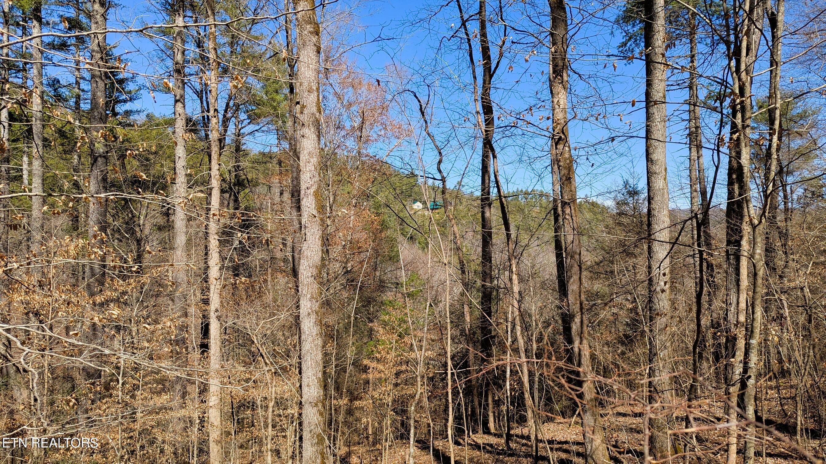 Carrs Creek Rd Property Photo 12