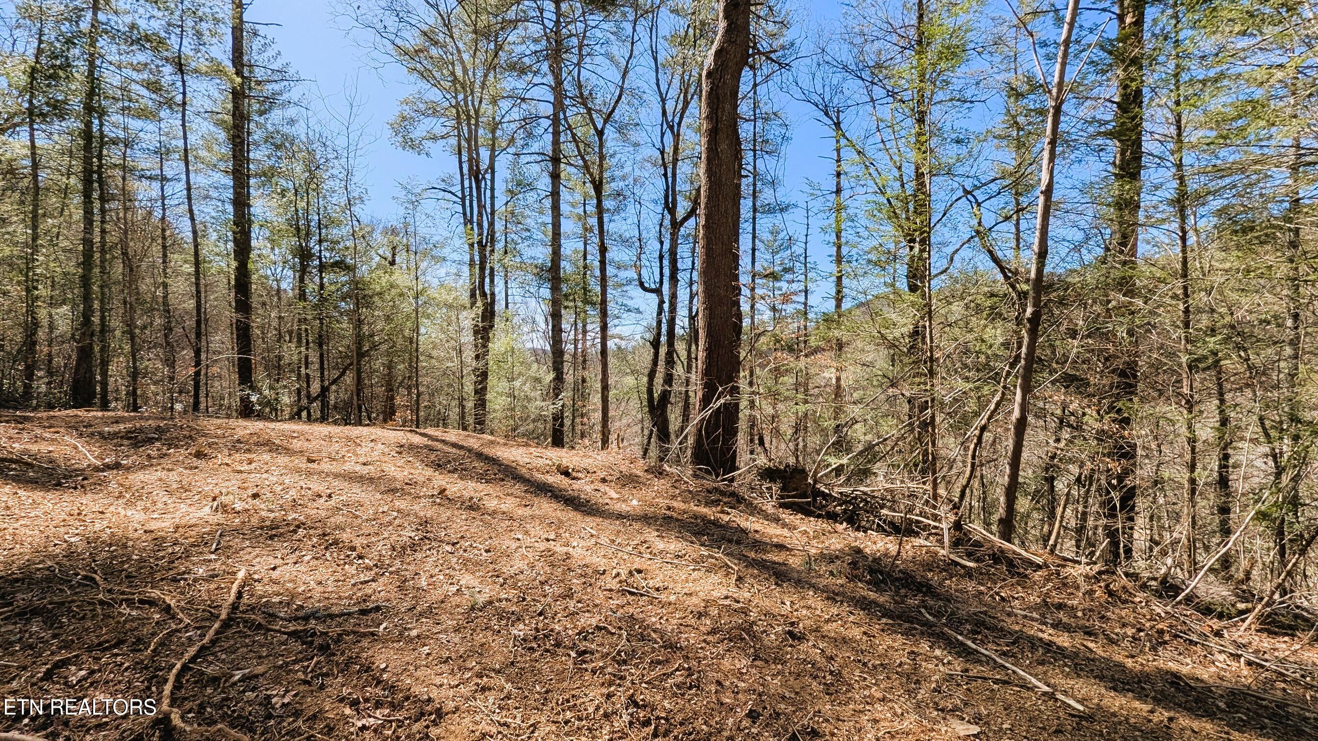 Carrs Creek Rd Property Photo 13
