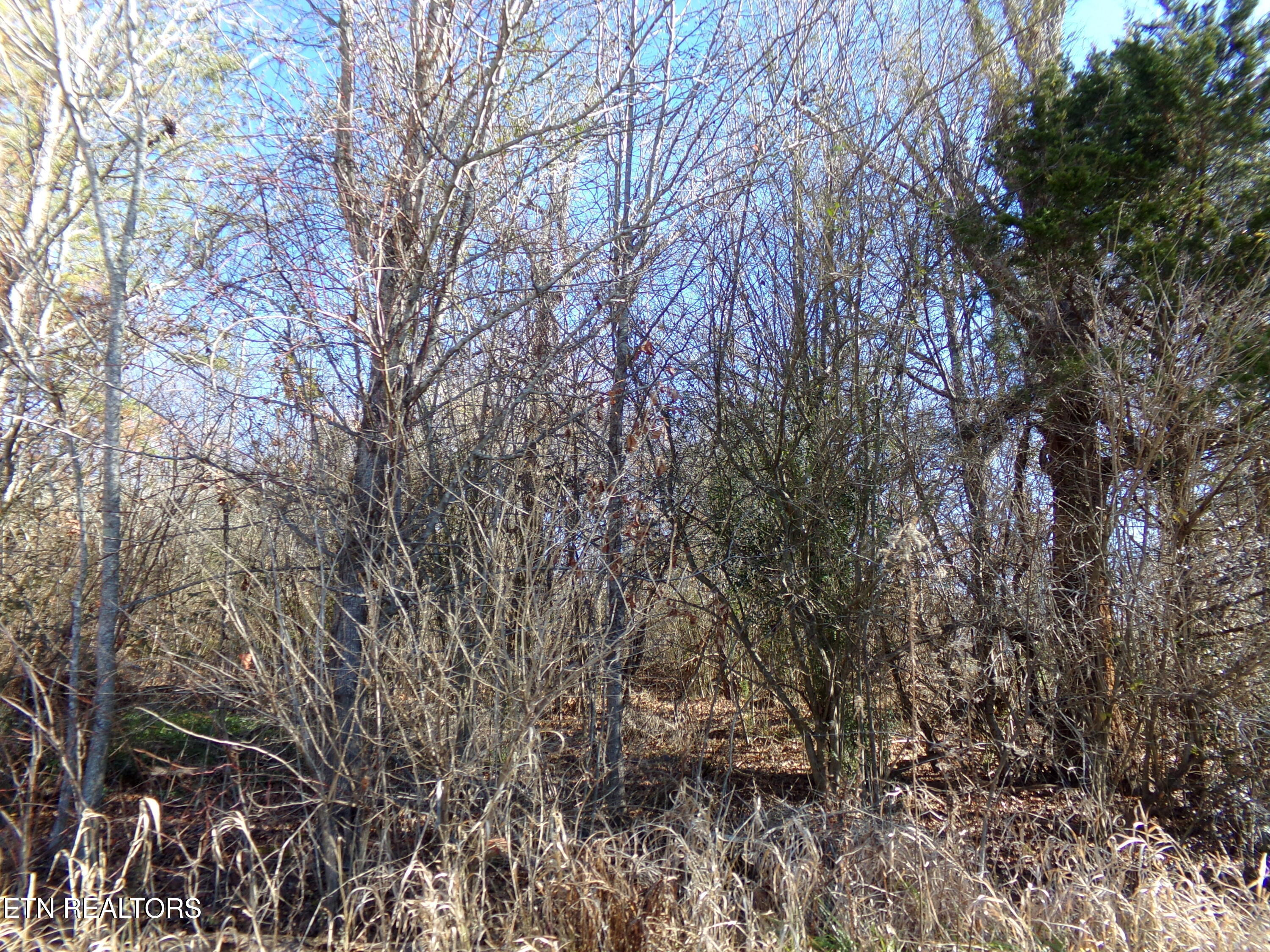 1037 Goti Drive Property Photo