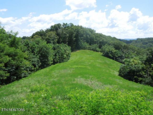 Lot 65aa Turtle Rd Property Photo