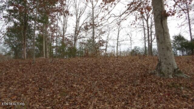 39 Sunset Ridge Lane Property Photo 1