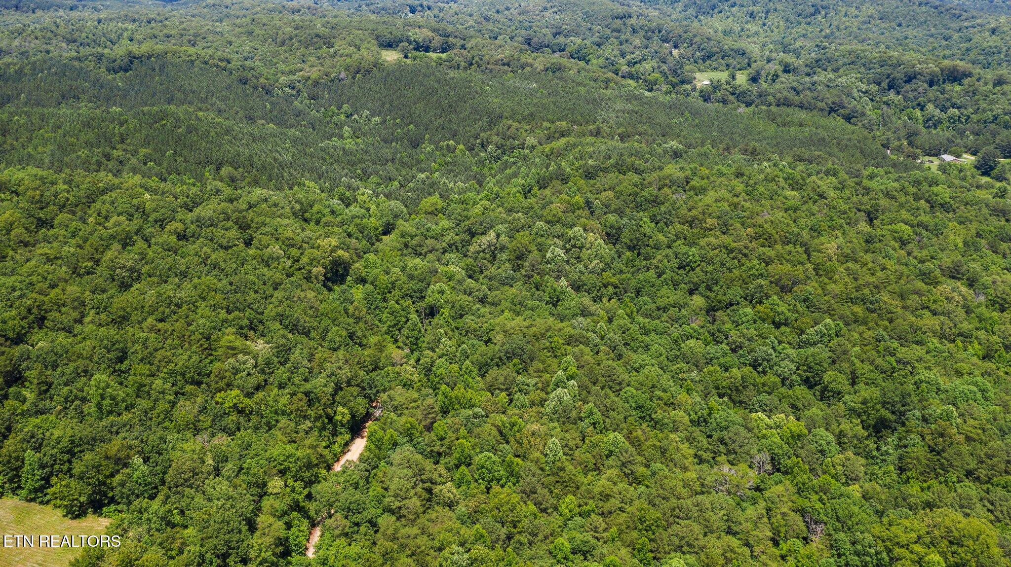 5.05 Horns Creek Rd Property Photo