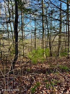 Bull Mountain Rd Property Photo