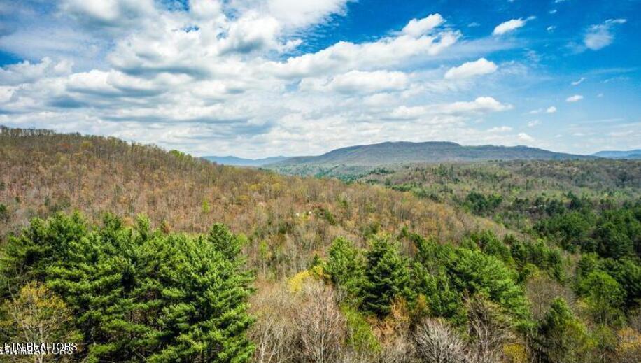 Lot 39 Green Ridge Tr Property Photo