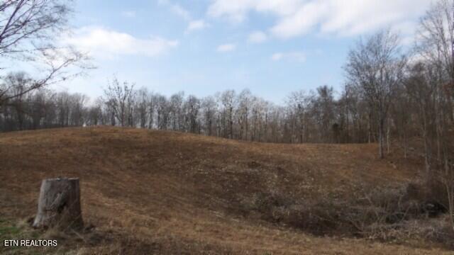 50 Earl Watson Rd Property Photo