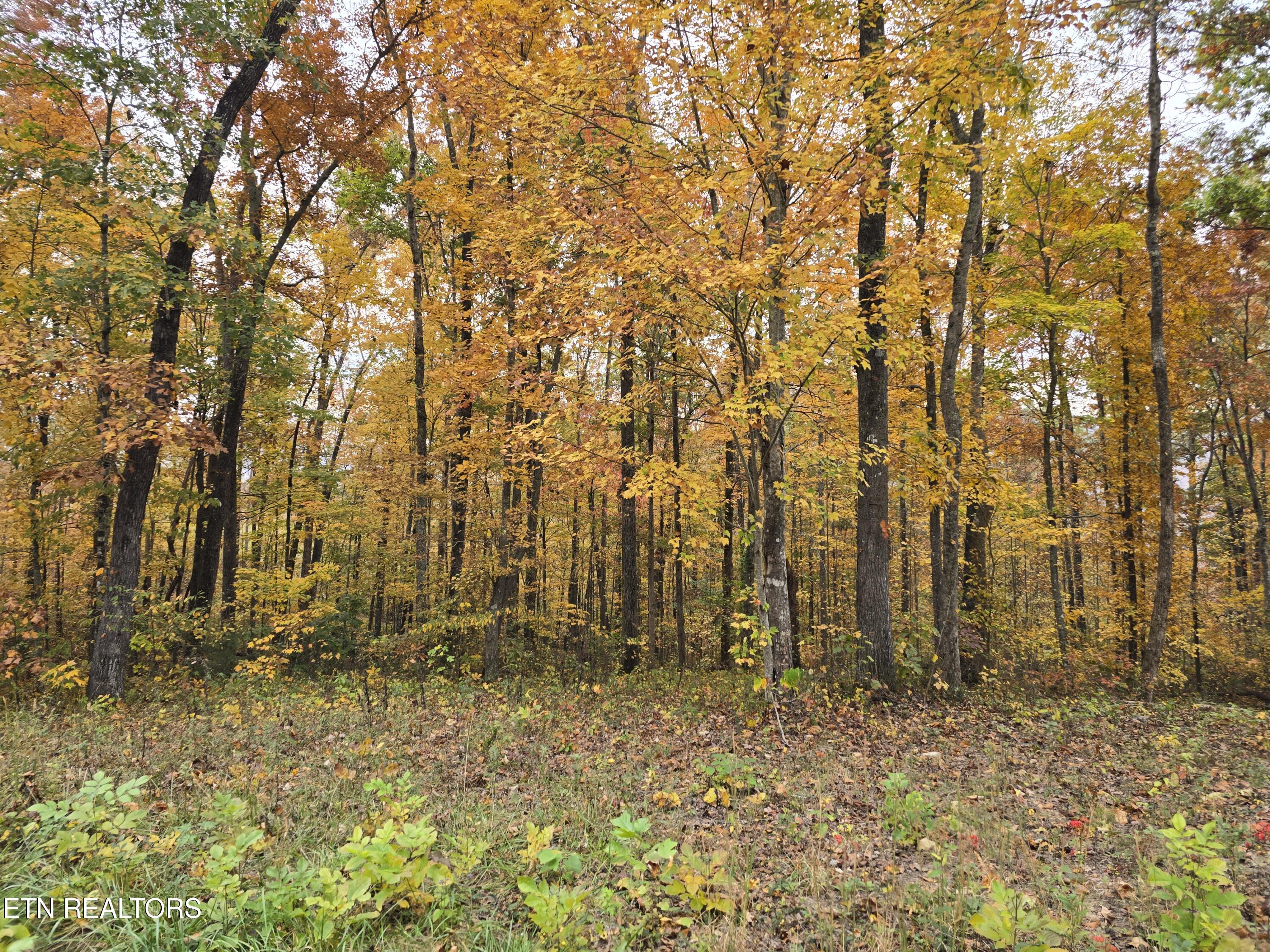 10 Ac West Robbins Rd Property Photo