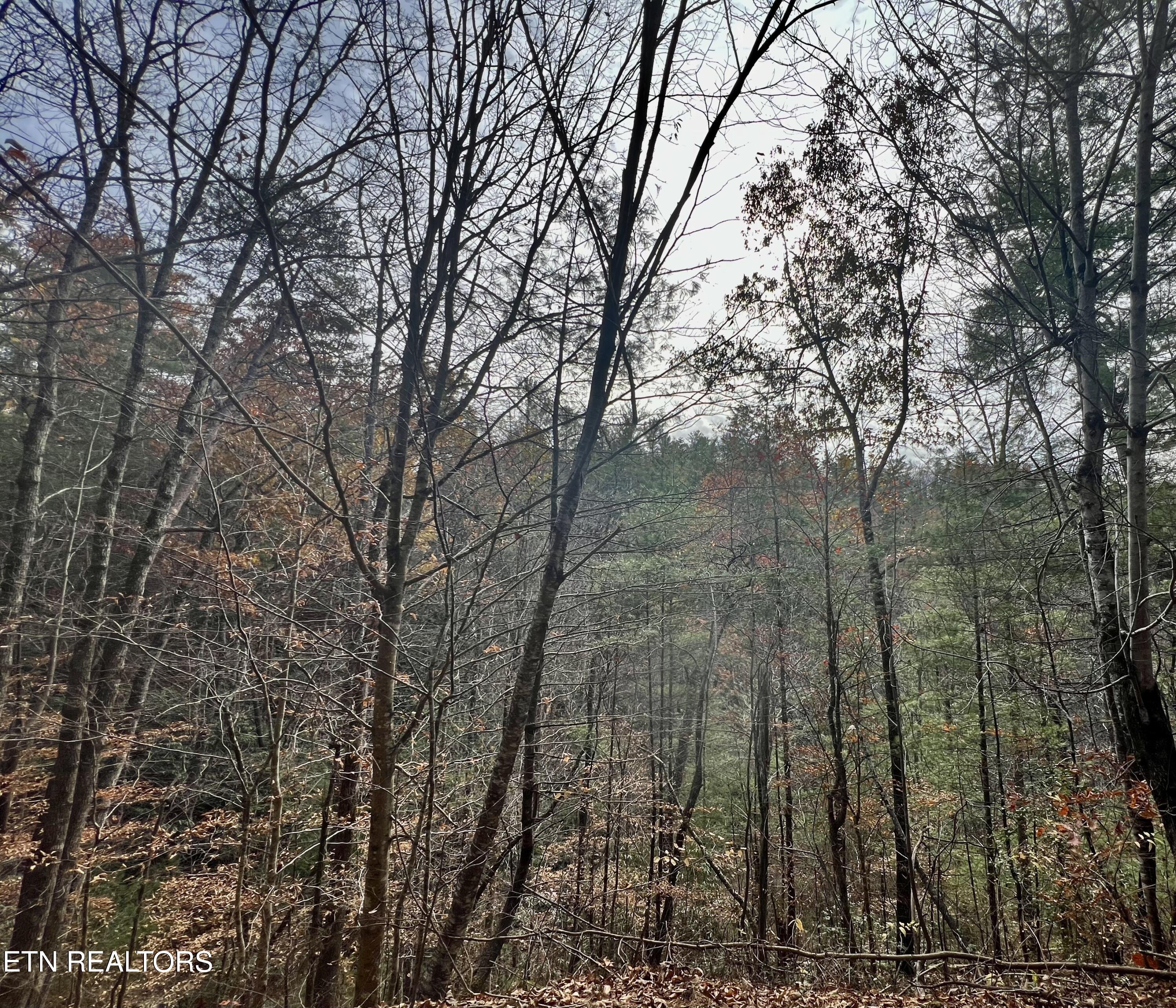 114 Rocky Creek Rd Property Photo