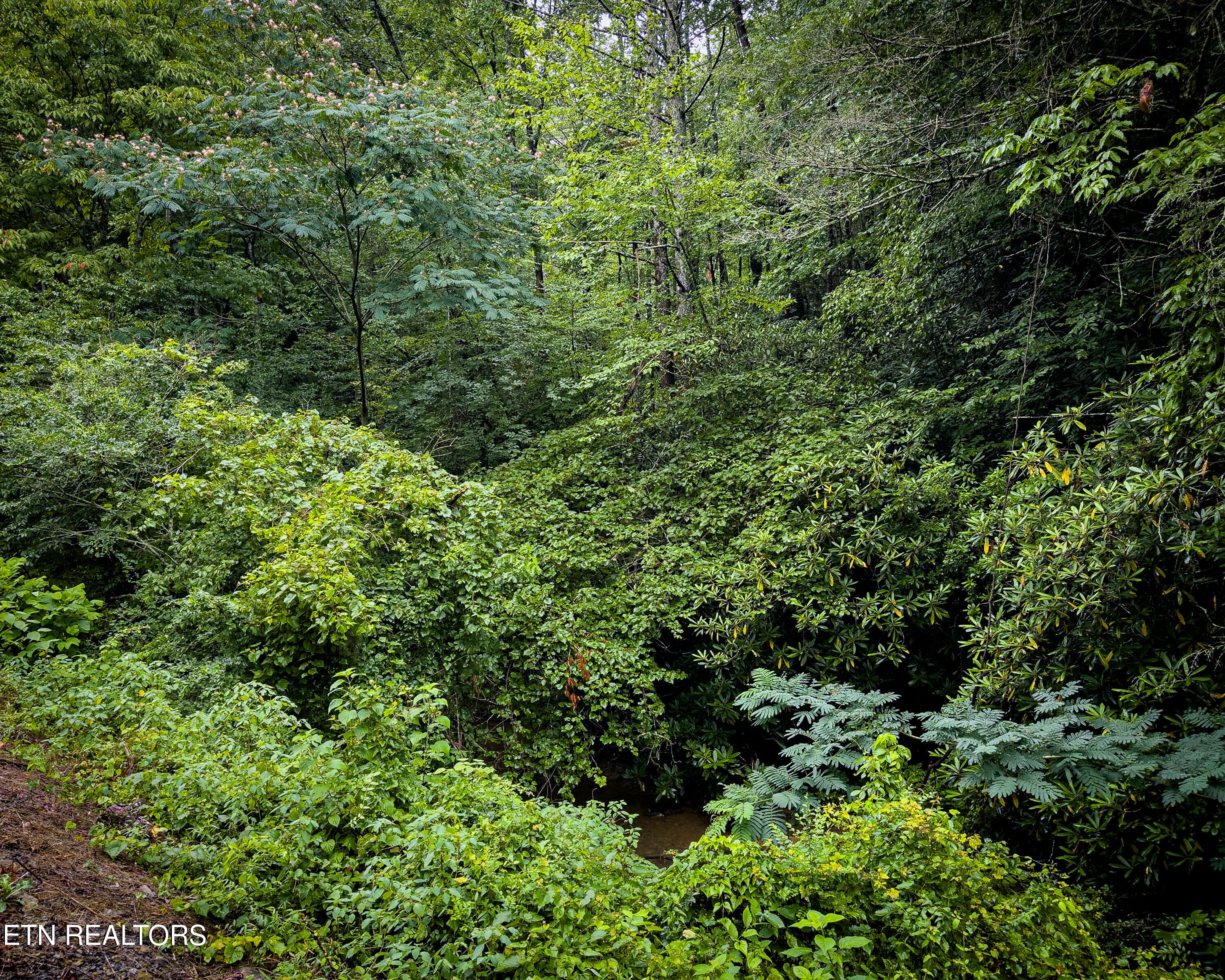 Lot 30/31 Henry Town Rd Property Photo 18
