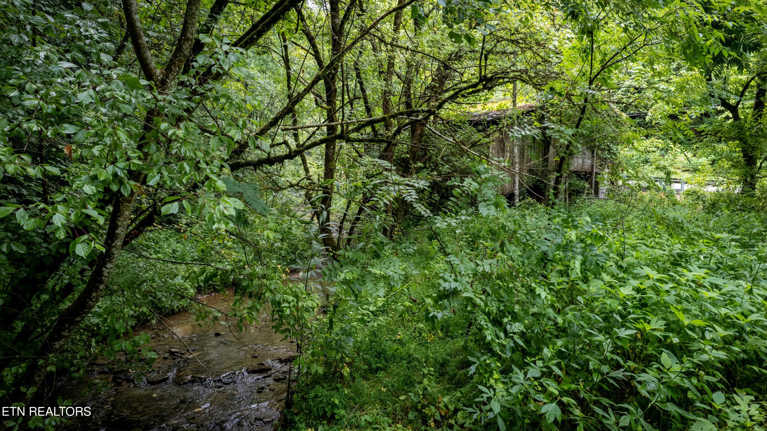 Lot 30/31 Henry Town Rd Property Photo 37